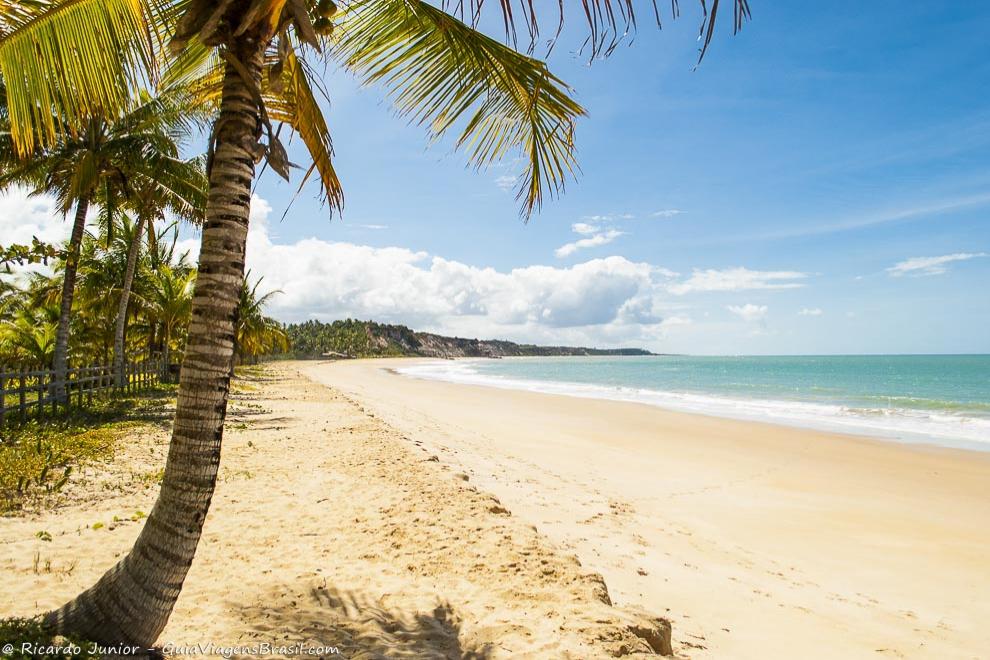 A Praia do Rio da Barra, emoldurada por coqueirais e falésias, em Trancoso, na Bahia. <br /> Photograph by Ricardo Junior / www.ricardojuniorfotografias.com.br