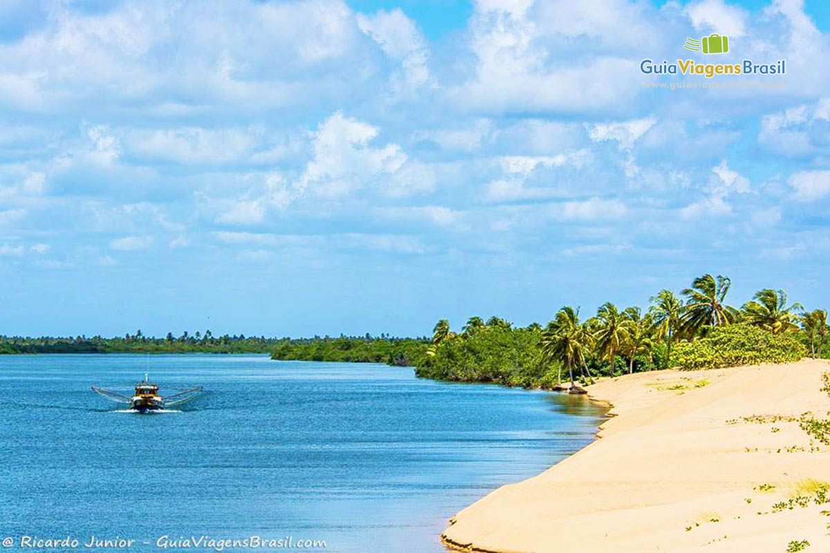 Imagem de Praia de Foz Rio São Francisco, com mar nas águas claras e ao fundo vegetação local, em Alagoas, Brasil.