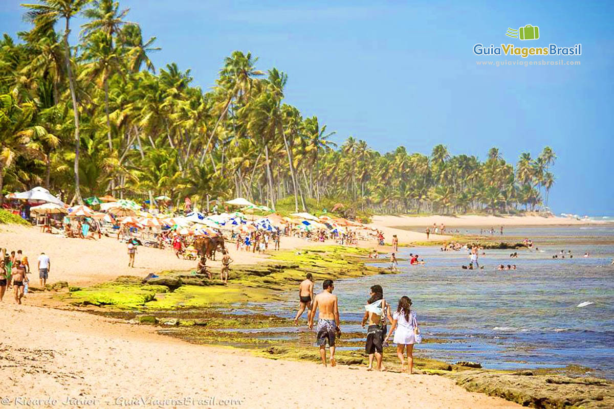 Imagem de turistas na areia e no mar da Praia do Forte.