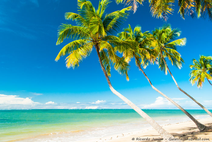 Foto da Praia do Patacho, em Porto de Pedras, Alagoas. - Photograph by Ricardo Junior /www.ricardojuniorfotografias.com.br