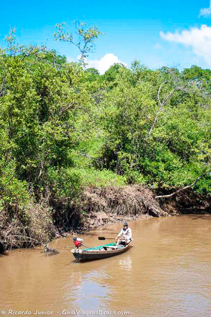 Ribeirinho perto do mangue, com a vegetação exuberante do Delta do Parnaíba, Piauí. Photograph by Ricardo Junior / www.ricardojuniorfotografias.com.br