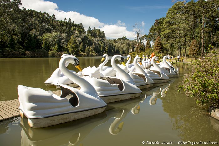 Pedalinho no Parque do Lago Negro, em Gramado - RS - Photograph by Ricardo Junior / www.ricardojuniorfotografias.com.br