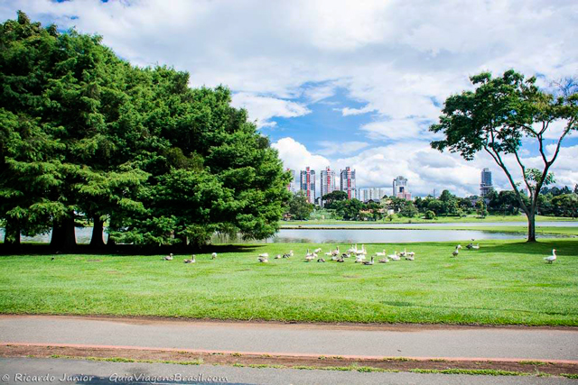 Parque Barigui, um dos mais antigos de Curitiba, no Paraná. Photograph by Ricardo Junior / www.ricardojuniorfotografias.com.br