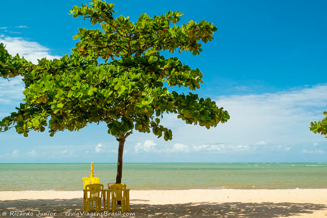 Praia de Curuípe, uma das mais tranquilas de Porto Seguro, na Bahia. Photograph by Ricardo Junior / www.ricardojuniorfotografias.com.br