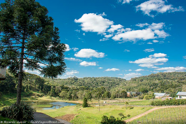 Linda e bucólica vinícola em Nova Petrópolis, na Serra Gaúcha. Photograph by Ricardo Junior / www.ricardojuniorfotografias.com.br