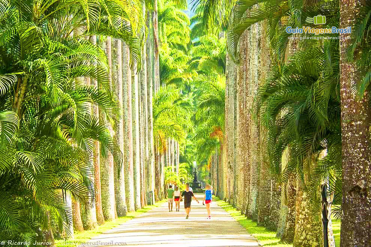 Passeios virtuais permitem visitas a museus, trilhas na floresta e diversos  pontos turísticos do RJ, Rio de Janeiro