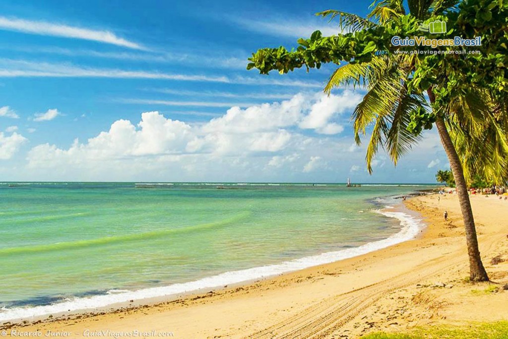 MELHORES PRAIAS de MACEIÓ e Arredores Dicas e Fotos MELHORES PRAIAS de MACEIÓ e Arredores Dicas e Fotos