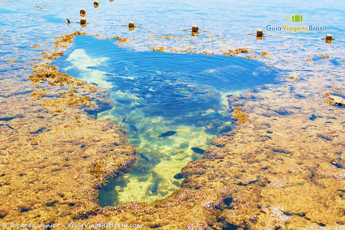 Foto mapa do Brasil nas piscinas naturais de Porto de Galinhas, PE.