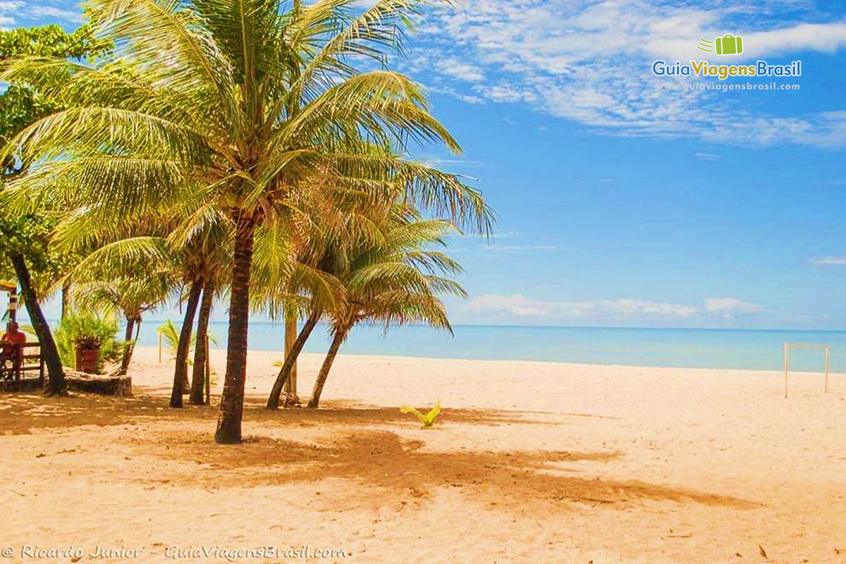 coqueiros-praia-camboinha-joao-pessoa-pb