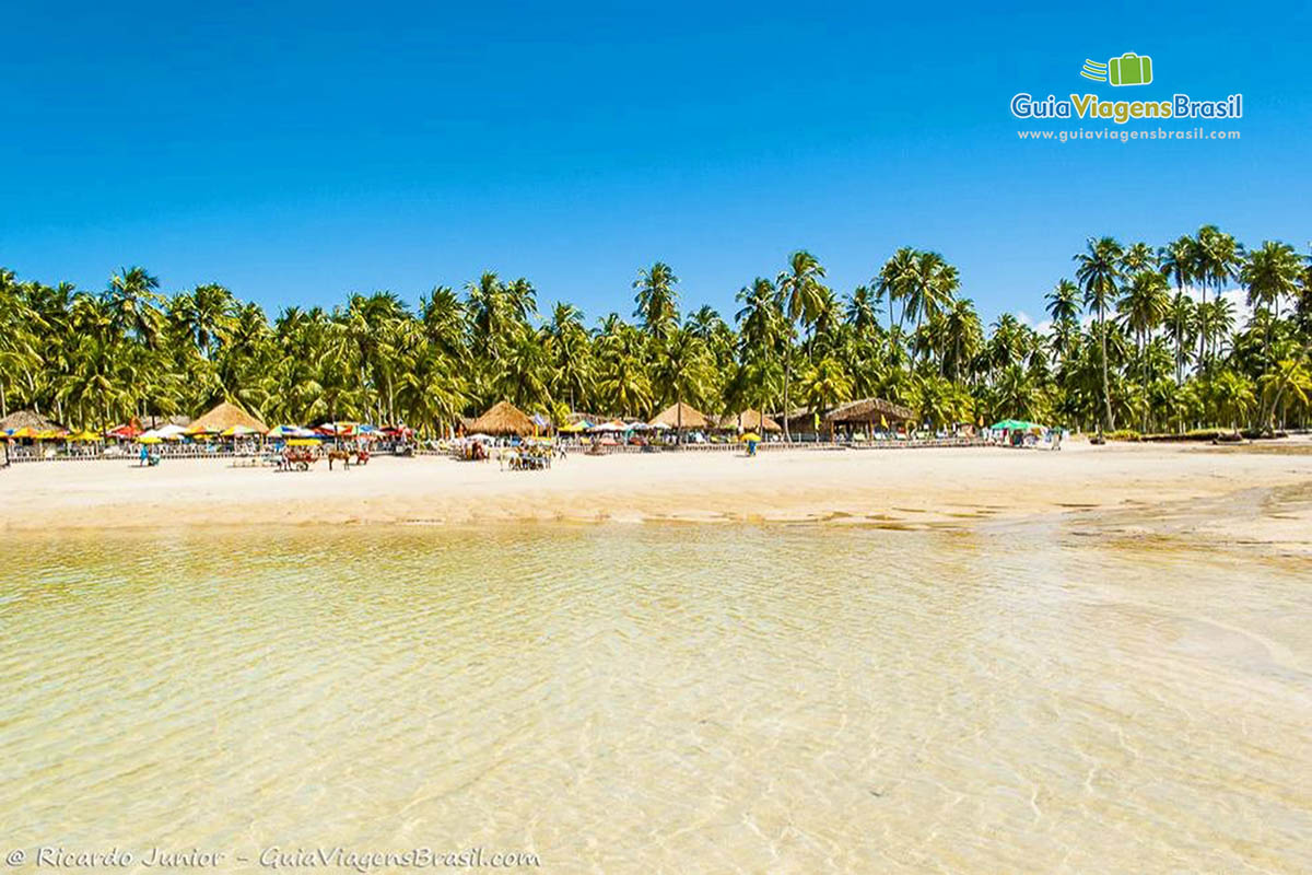 Foto orla com coqueiros da Praia dos Carneiros, Tamandaré, PE.