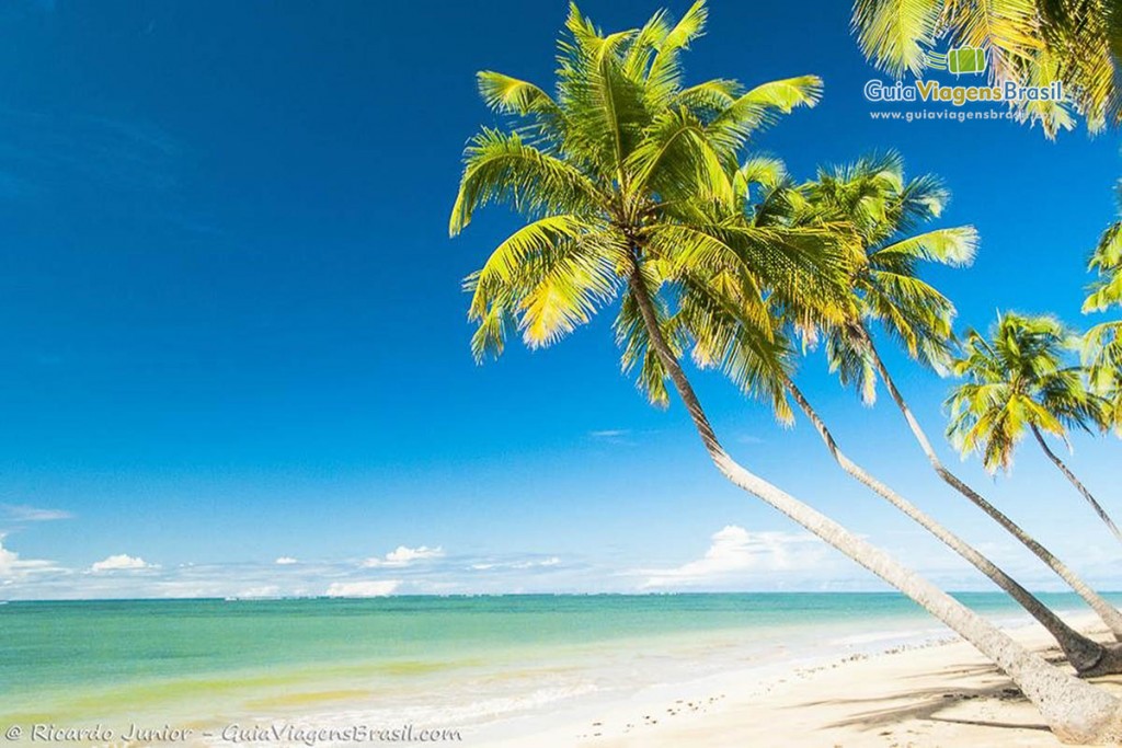 Foto Praia do Patacho, Porto de Pedras, AL.