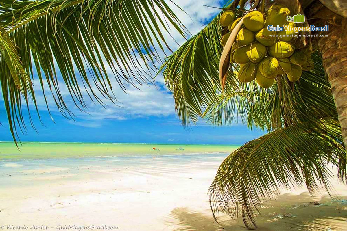 Foto Praia de Ipioca, Maceió.