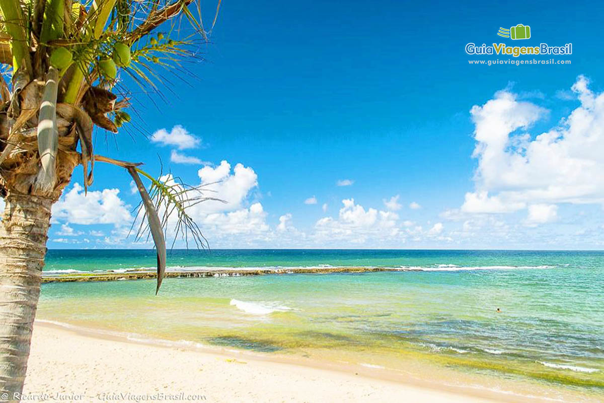 Foto Praia de Arembepe, Bahia.