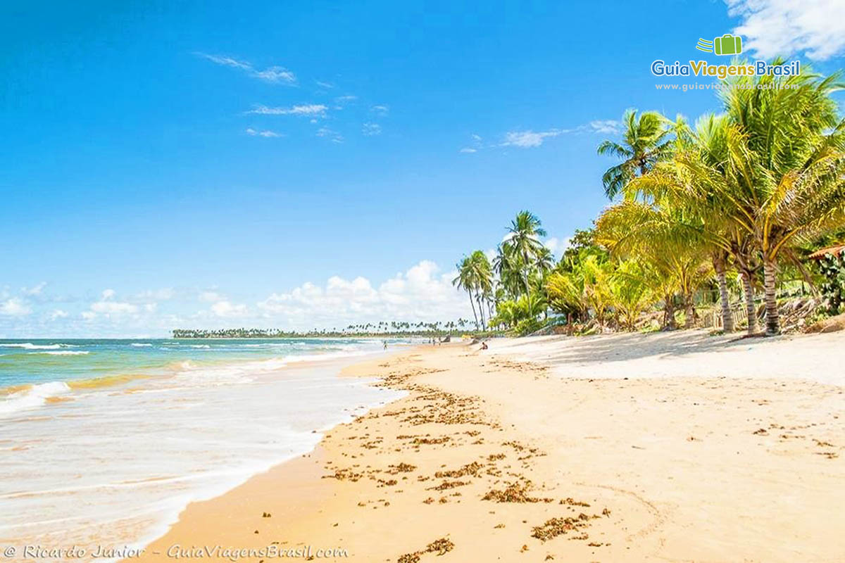 Foto orla da Praia de Itacimirim, BA.