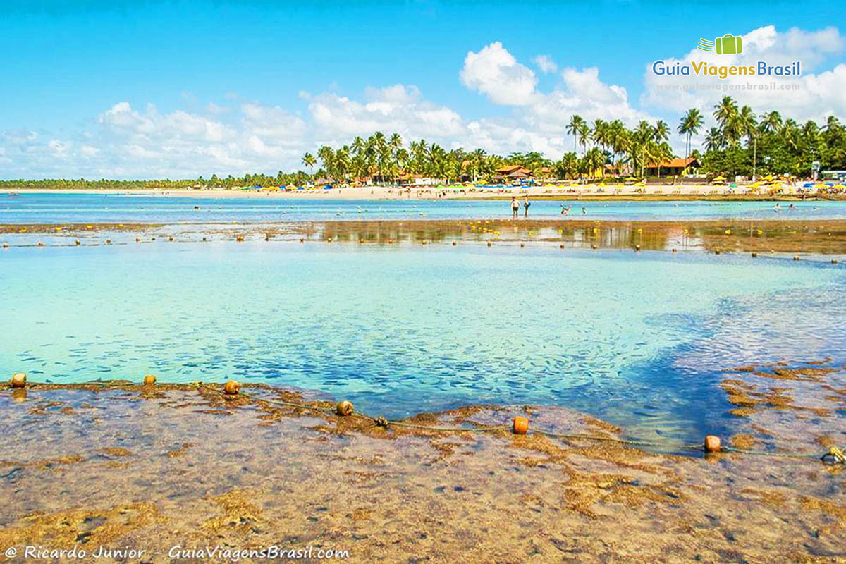 Foto piscinas naturais de Porto de Galinhas, PE.