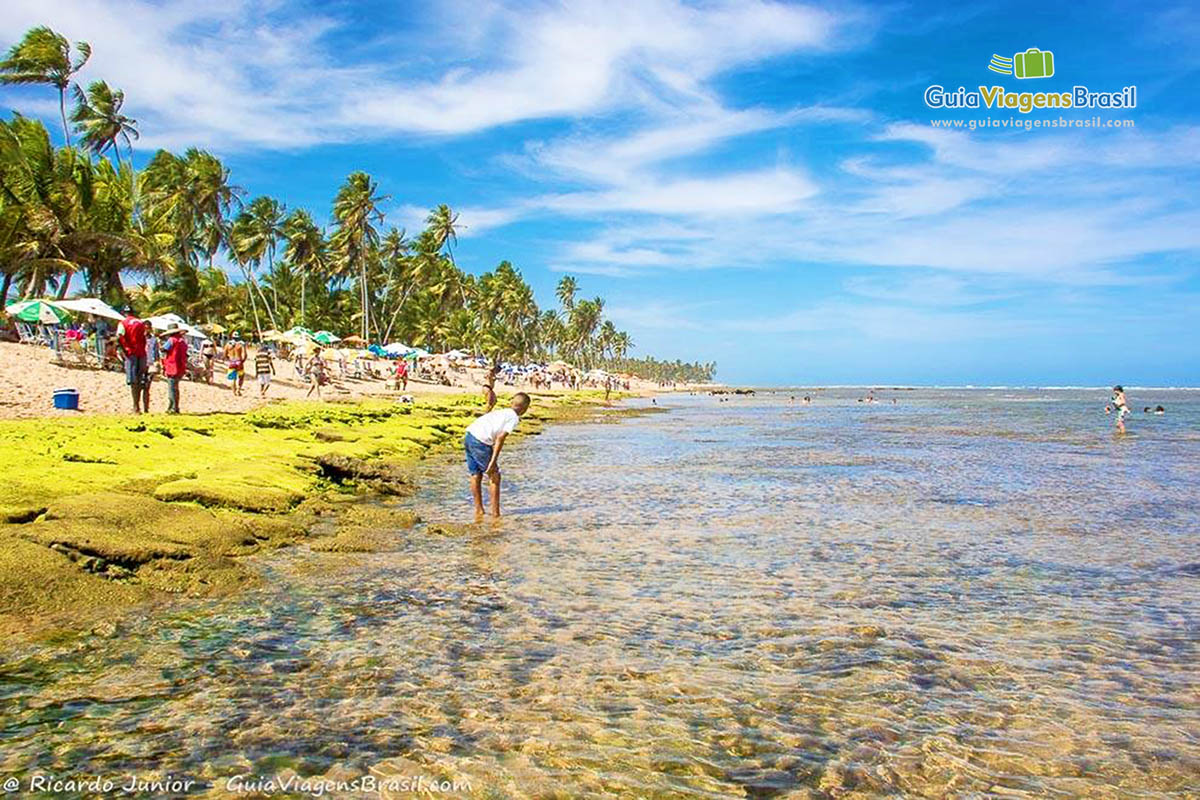 Foto Praia do Forte, BA.