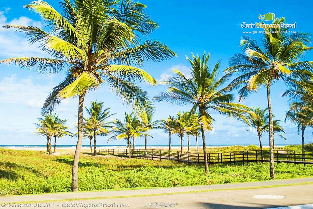 Foto Praia de Atalaia, em Aracaju, Sergipe.