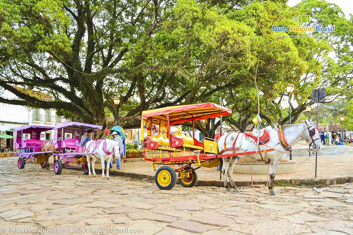 Foto Passeio de Charrete Tiradentes, MG.