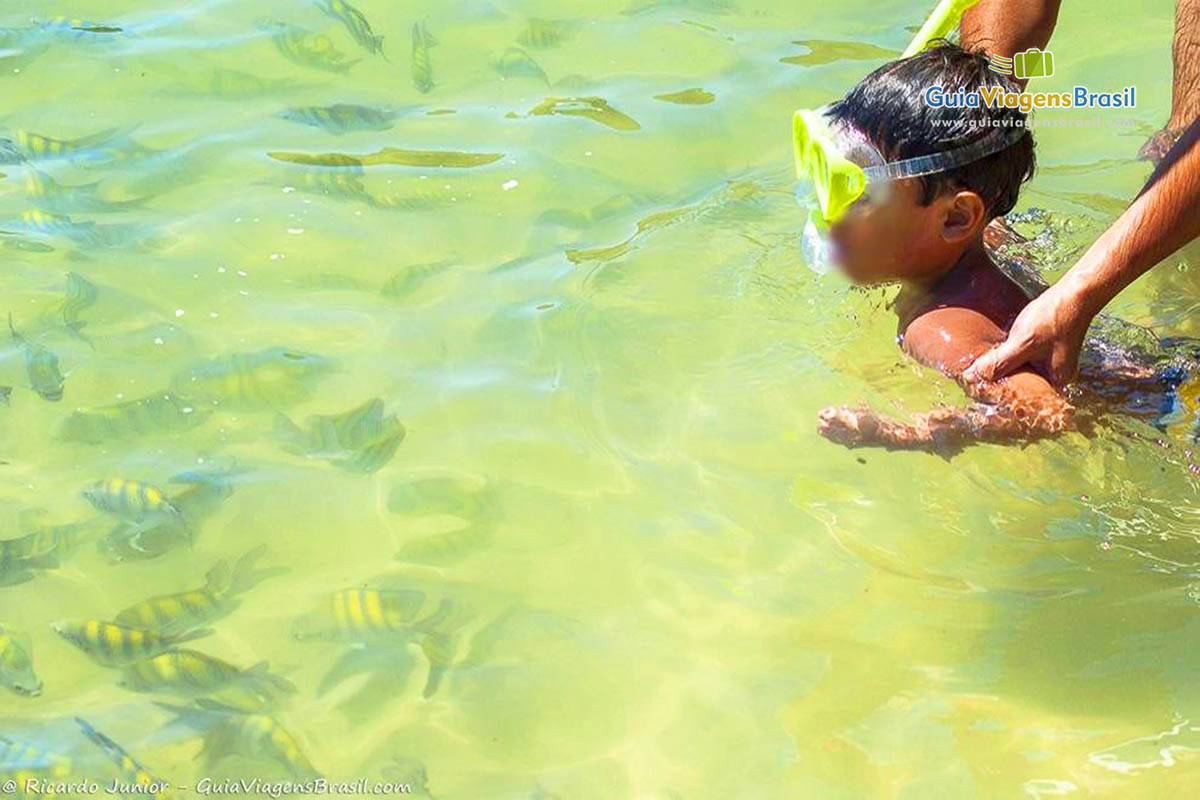 Foto criança mergulhando com peixinhos na Praia da Lagoinha, Bombinhas, SC.