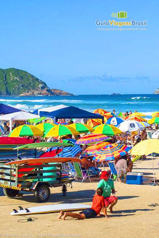 Foto orla lotada de guarda-sóis na Praia Brava, Florianópolis, SC.