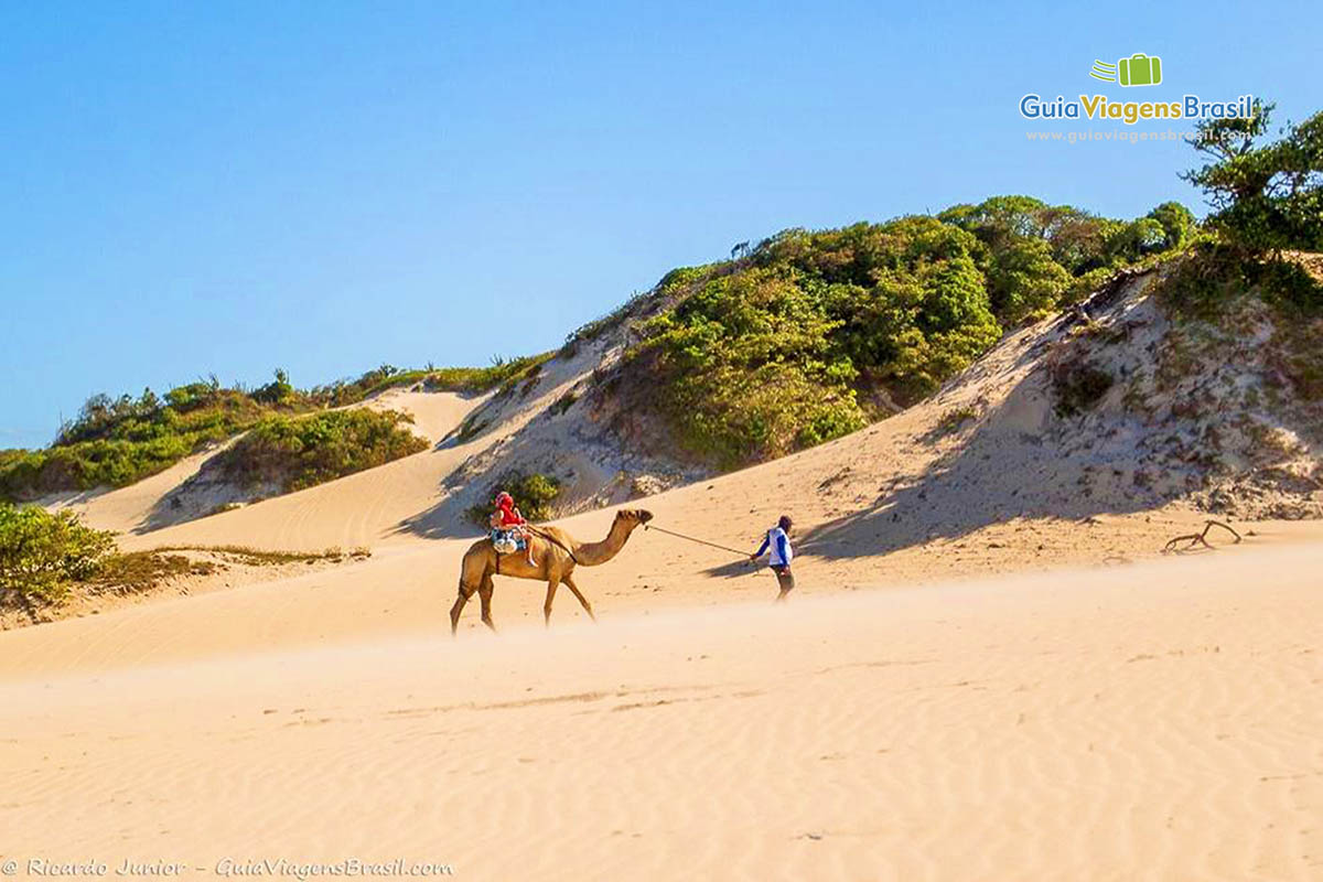 Foto dunas de Genipabu com dromedários em Natal, RN.