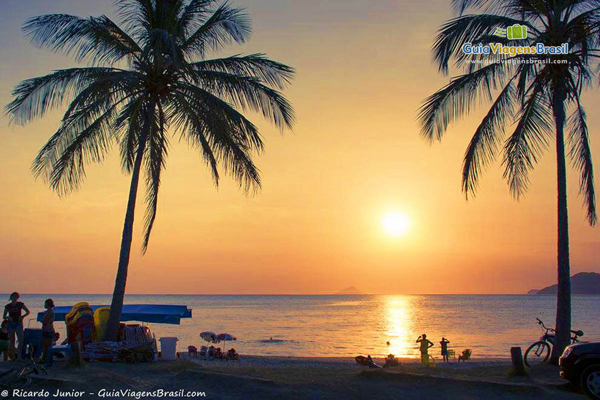 Foto coqueiros ao pôr do sol na Praia de Pauba, São Sebastião, SP.