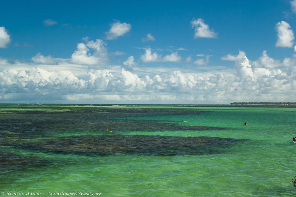 Imagem das águas esverdeadas da piscina natural de Paripueira.
