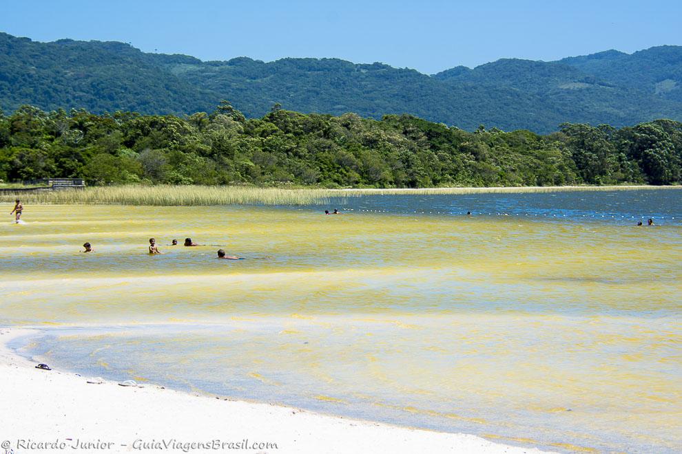 Imagem das águas límpidas da Lagoa Peri, em Florianópolis.