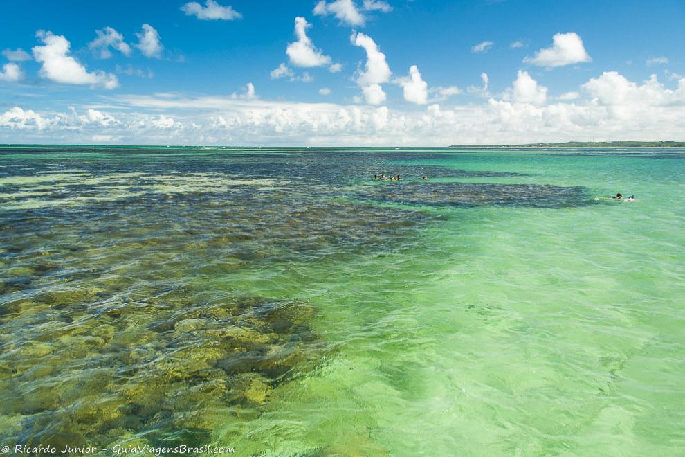 Imagem das águas claras da piscina natural de Alagoas.