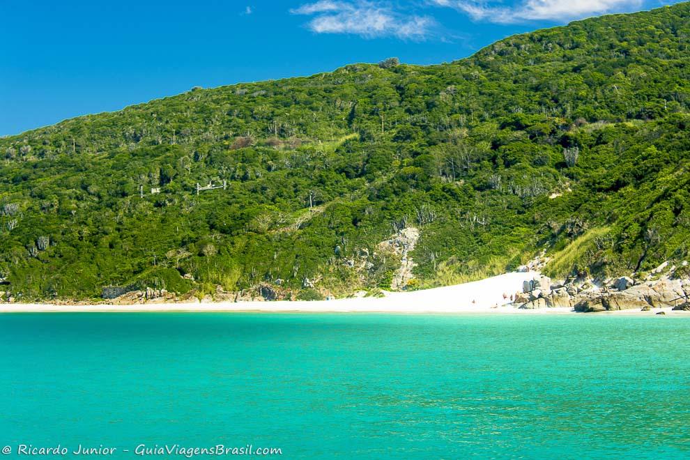 Imagem do mar azul e vegetação bem verde na ilha.