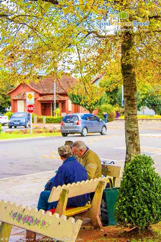 Imagem de amigos sentados no banco da bela praça.