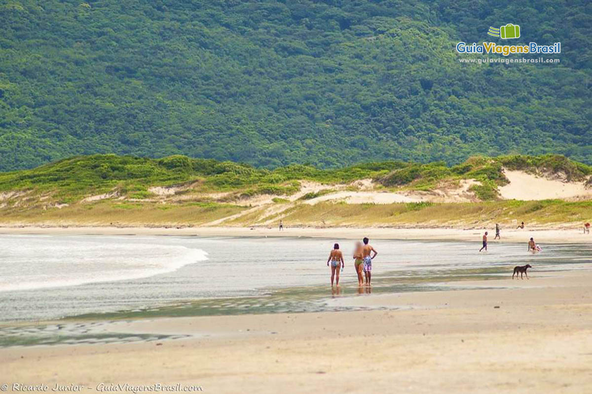 Imagem de amigos na Praia Pantano do Sul.