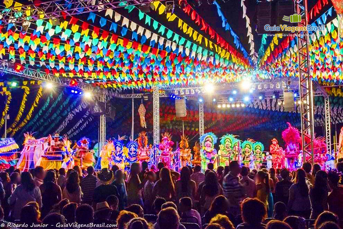 Imagem da animação das pessoas da Festa Bumba Meu Boi, em São Luís.