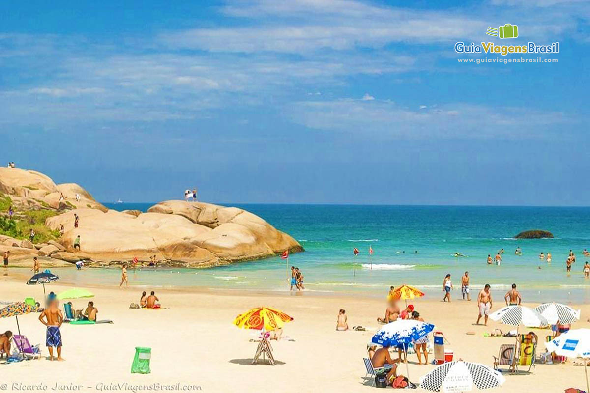 Imagem de animada Praia da Joaquina.