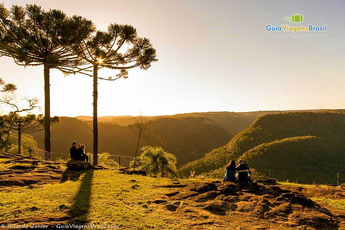 Imagem de duas belas araucárias no topo do morro do Parque da Ferradura.