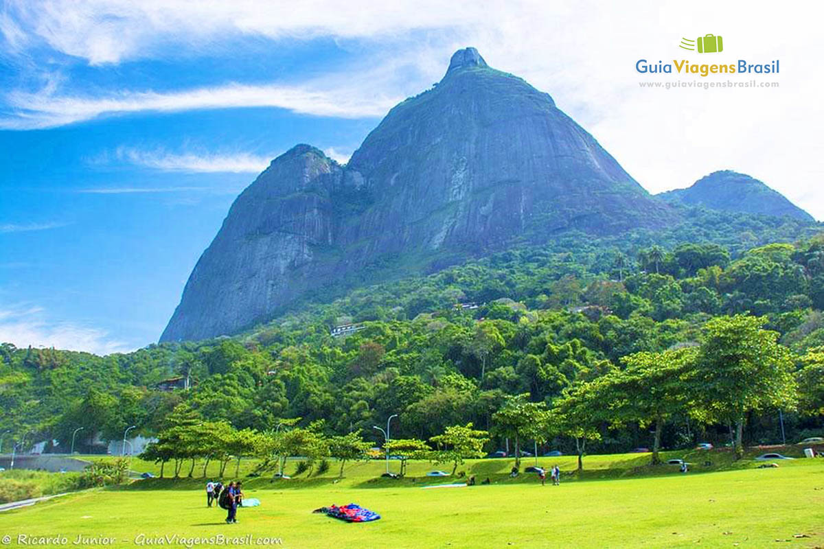 Imagem da área verde próximo a Praia de São Conrado.