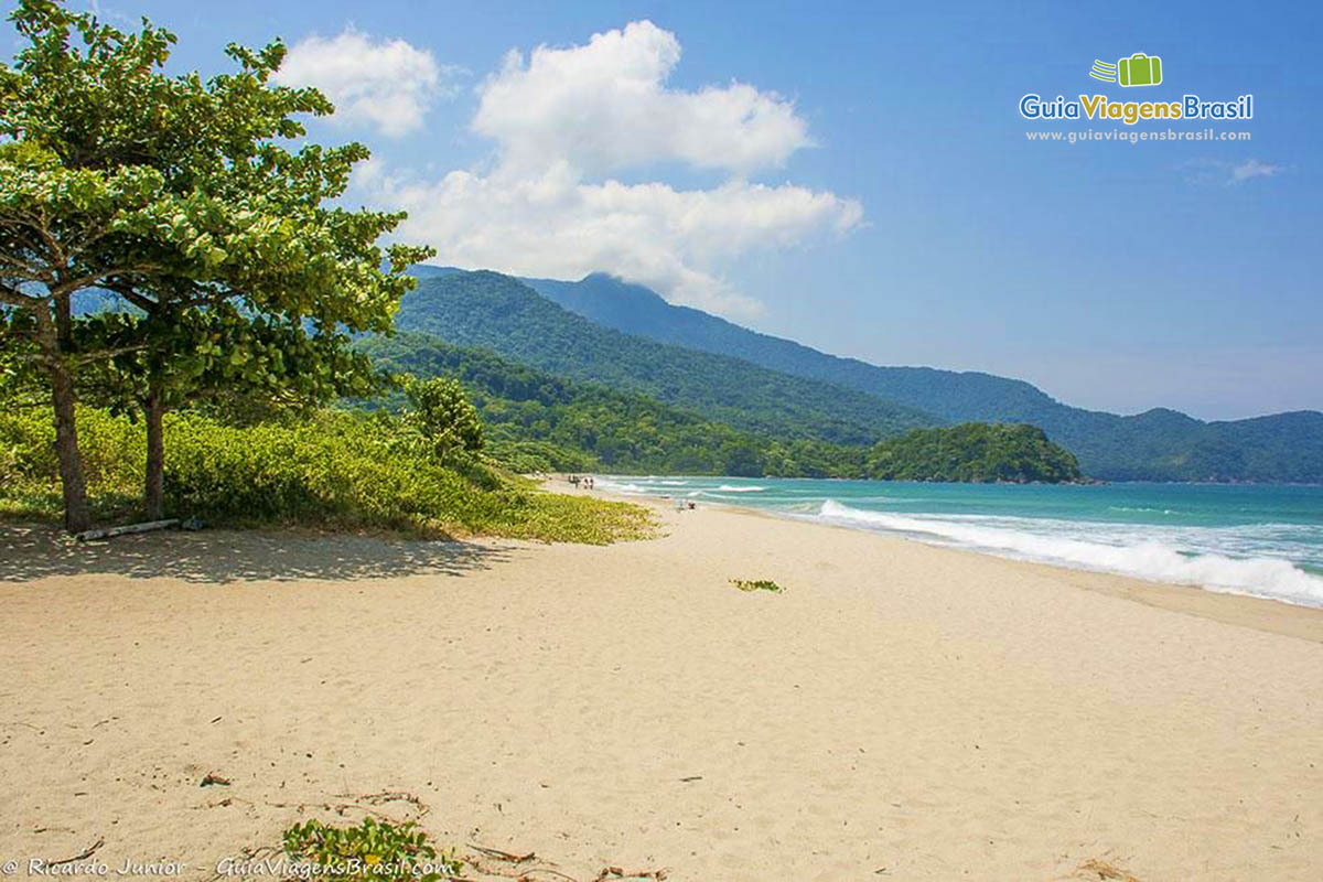 Imagem de areias claras da Praia de Castelhanos em Ilhabela.