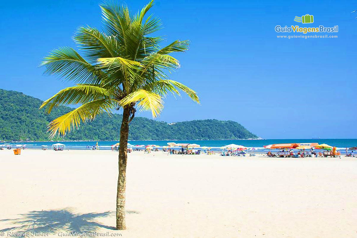 Imagem das areias claras da Praia Grande.