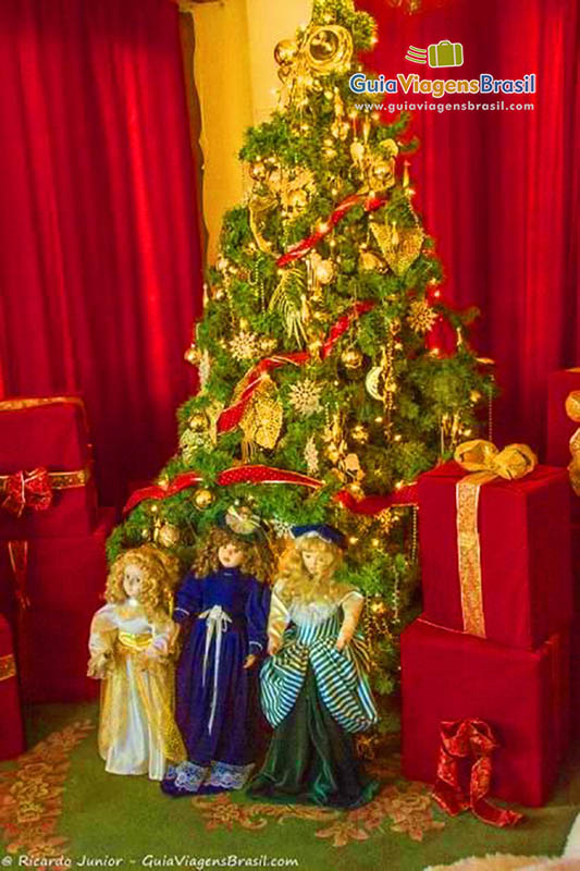 Imagem da linda árvore do Papai Noel.