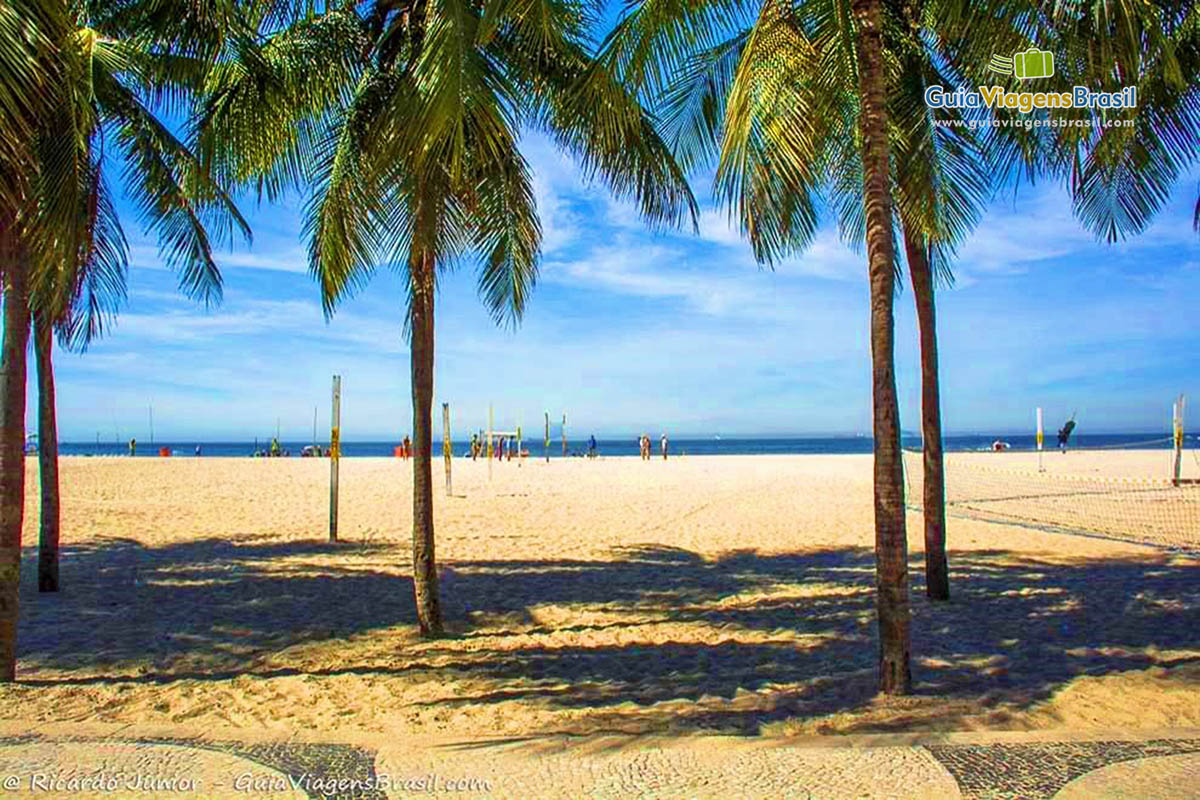 Imagem de alguns coqueiros fazendo sombra nas areias da Praia de Copacabana.