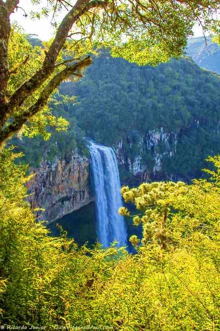 Imagem de belas árvores a ao fundo cachoeira do Parque Caracol.