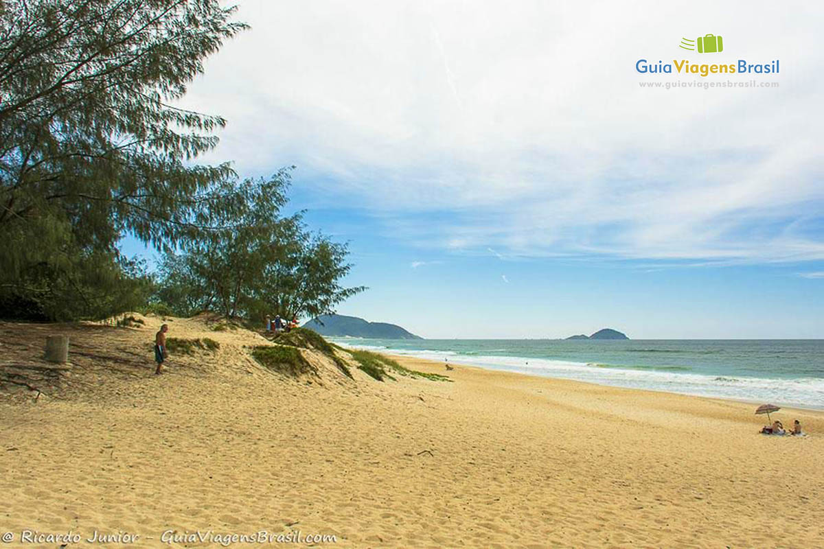 Imagem de bela árvore a esquerda e ao fundo a praia.