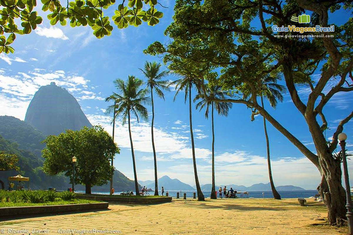 Imagem das árvores na Praia Vermelha que deixa paisagem com charme especial.