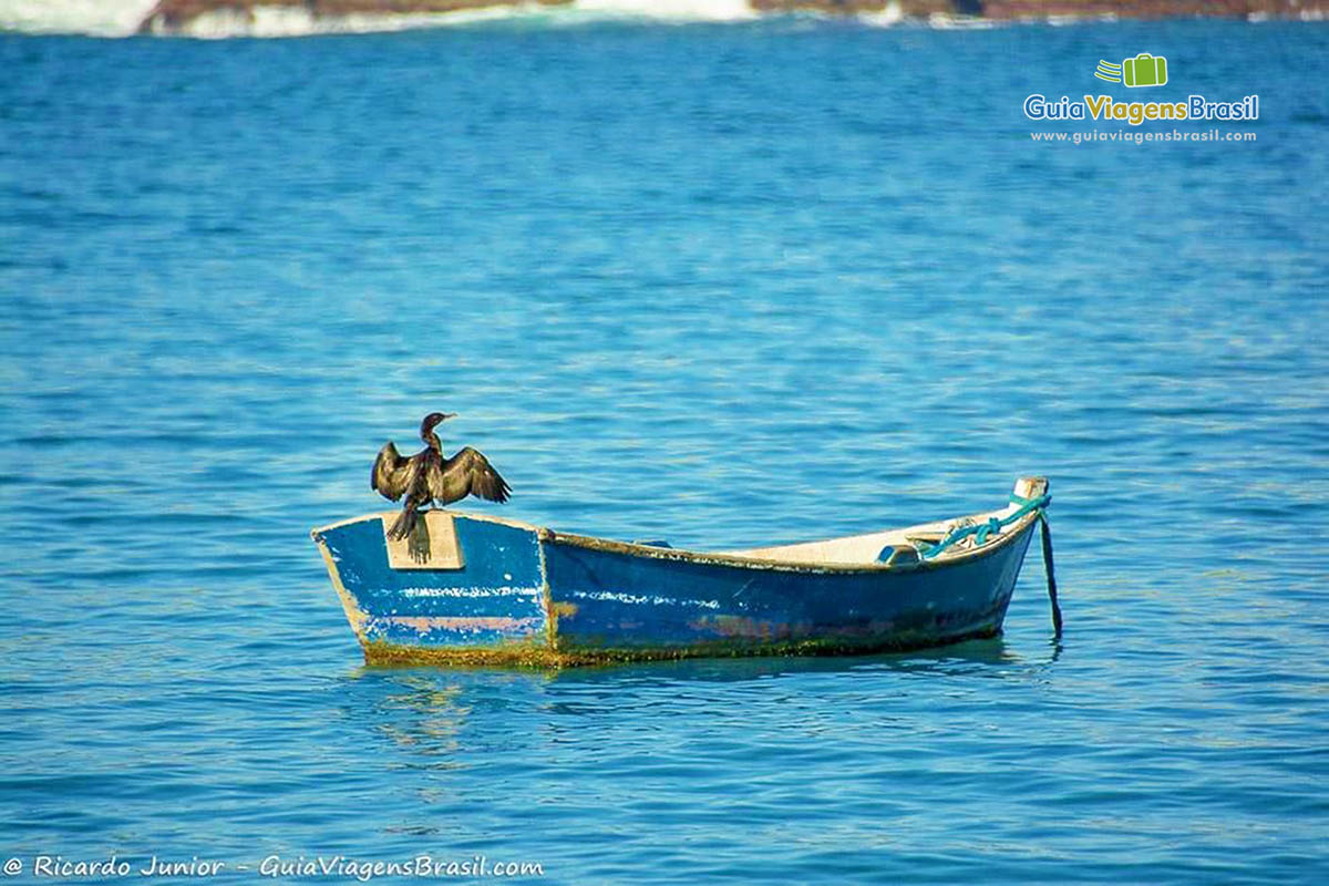 Imagem de um ave em cima do barco de pescar no mar.