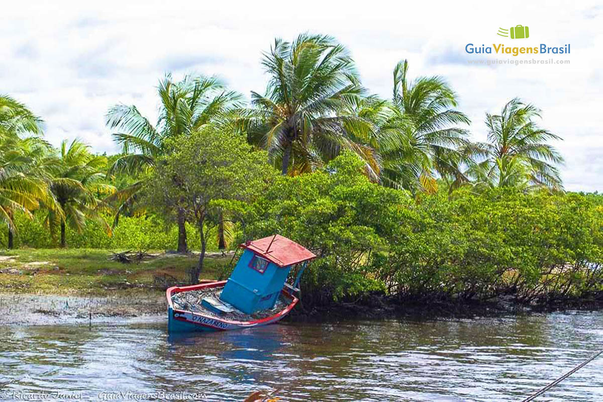 Imagem de um barco de pescadores e ao fundo linda vegetação.