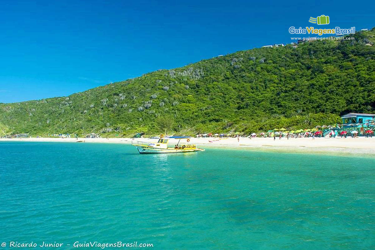 Imagem de um barco de passeio ancourado na beira da praia.