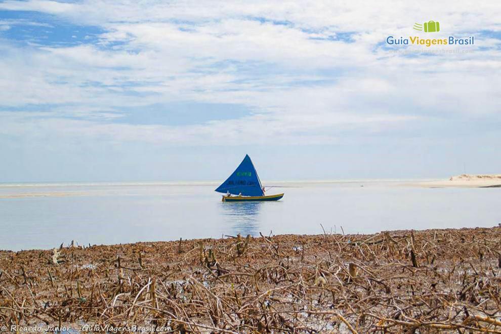Imagem de um barco a vela nas águas em Camocim.
