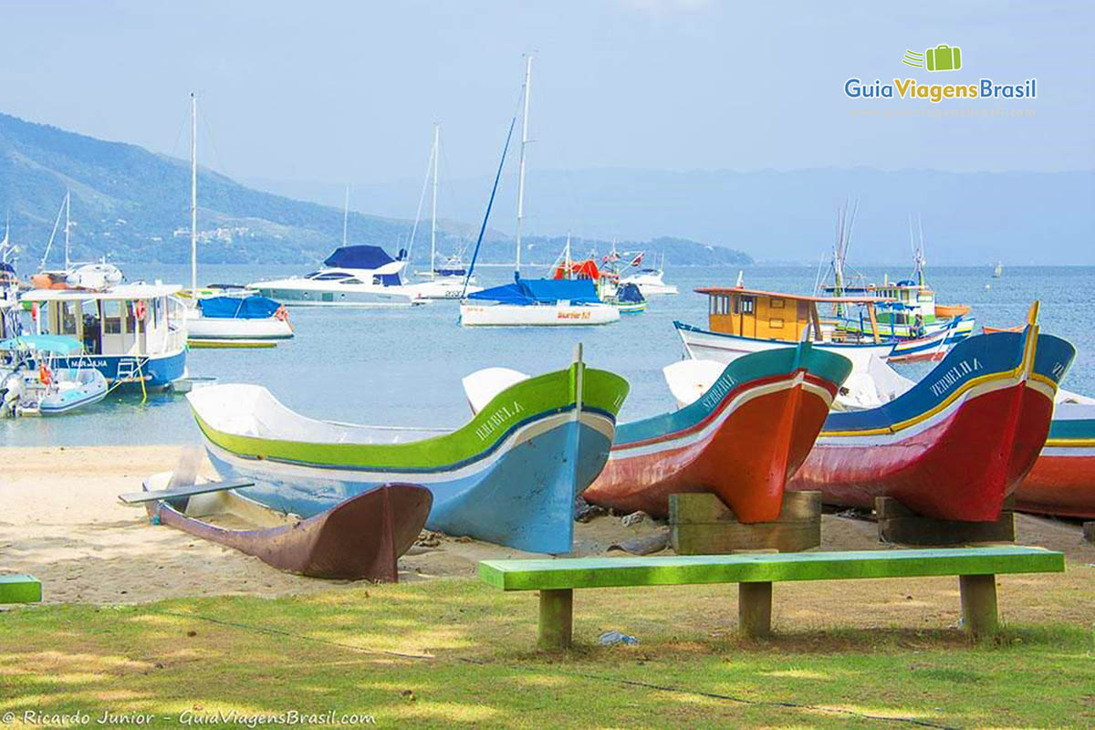 Imagem de várias canoas de pescadores nas areias da praia.