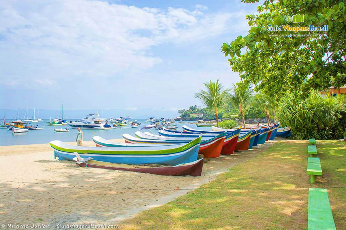 Imagem de lindas canoas coloridas e ao fundo linda vegetação.