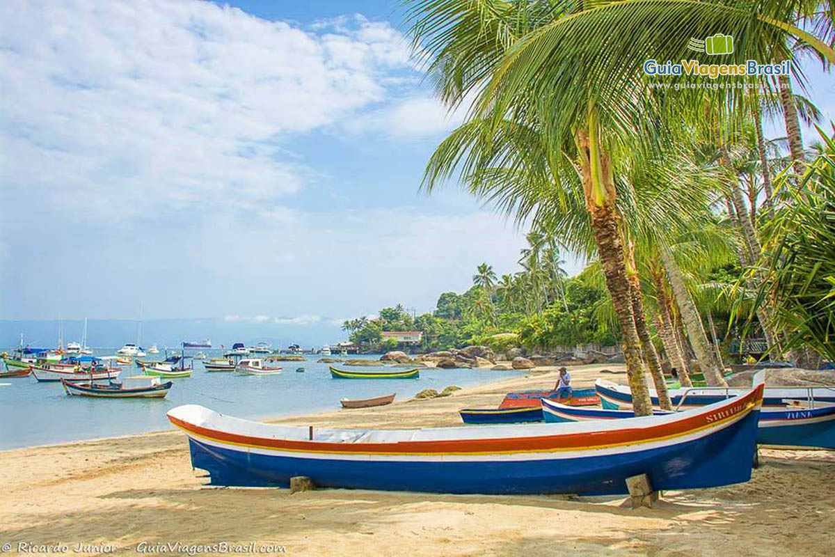 Imagem de canoas nas areias e barcos de pescadores no mar.